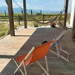 Maison Entouree D Animaux En Pleine Campagne