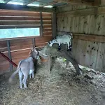 Maison Entouree D Animaux En Pleine Campagne Βίλα Lasseube