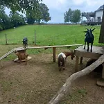 Maison Entouree D Animaux En Pleine Campagne Βίλα *