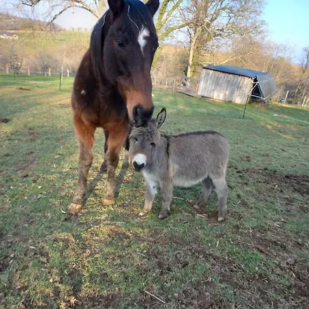 Maison Entouree D Animaux En Pleine Campagne *