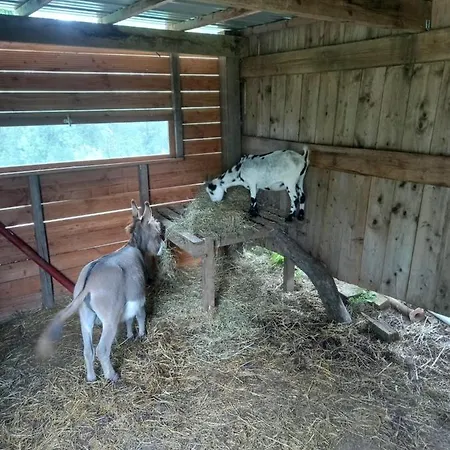 Maison Entouree D Animaux En Pleine Campagne Villa Lasseube