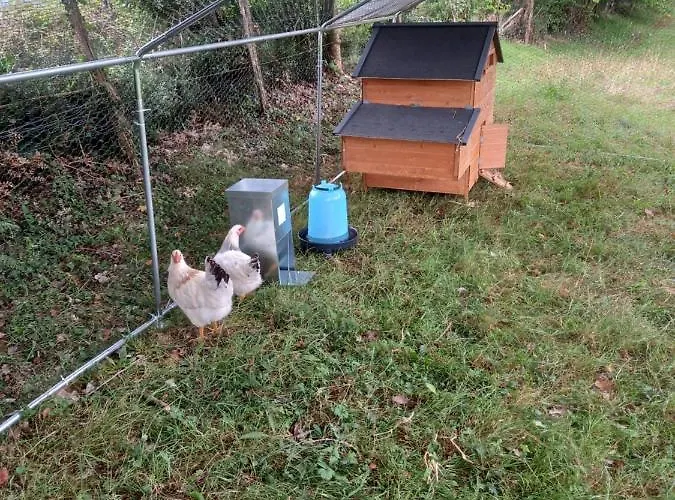 Maison Entouree D Animaux En Pleine Campagne