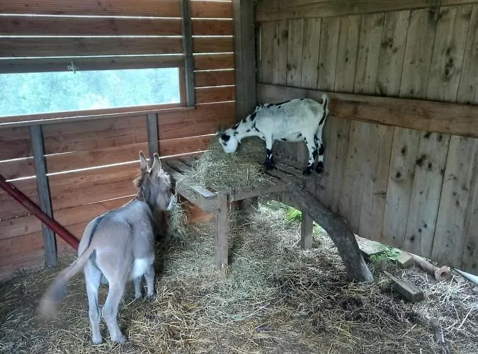 Maison Entouree D Animaux En Pleine Campagne Вилла Lasseube