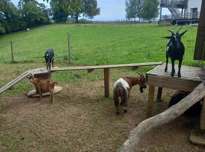 Maison Entouree D Animaux En Pleine Campagne Вилла *
